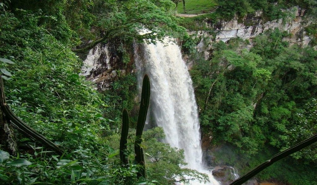Salto Encantado: el rincón de Misiones donde la selva se desploma en cascadas